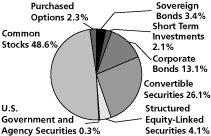 (Calamos Strategic Total Return Fund Pie Chart)