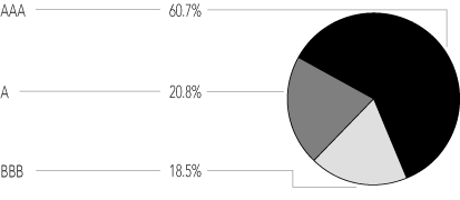 (PORTFOLIO ALLOCATION PIE CHART)