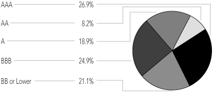 (PORTFOLIO ALLOCATION PIE CHART)