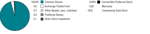 (PORTFOLIO COMPOSITION PIE CHART)