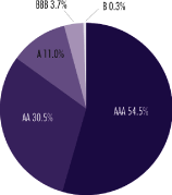 (PIE CHART)