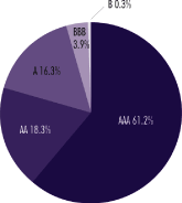 (PIE CHART)