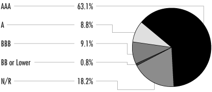 (PORTFOLIO ALLOCATION PIE CHART)