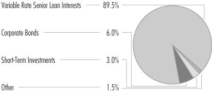 (PORTFOLIO ALLOCATION PIE CHART)