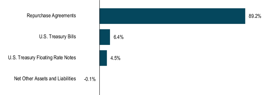 Graphical Representation - Top N Holdings Chart