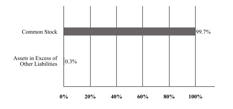 A graphical representation of Investments made.