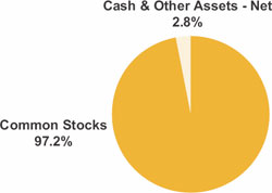 (pie chart)