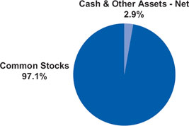 (PIE CHART)