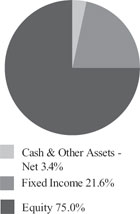 (PIE CHART)