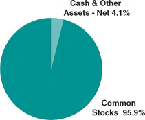 (PIE CHART)