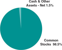 (PIE CHART)