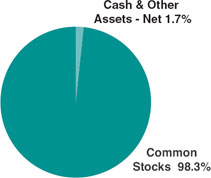 (PIE CHART)