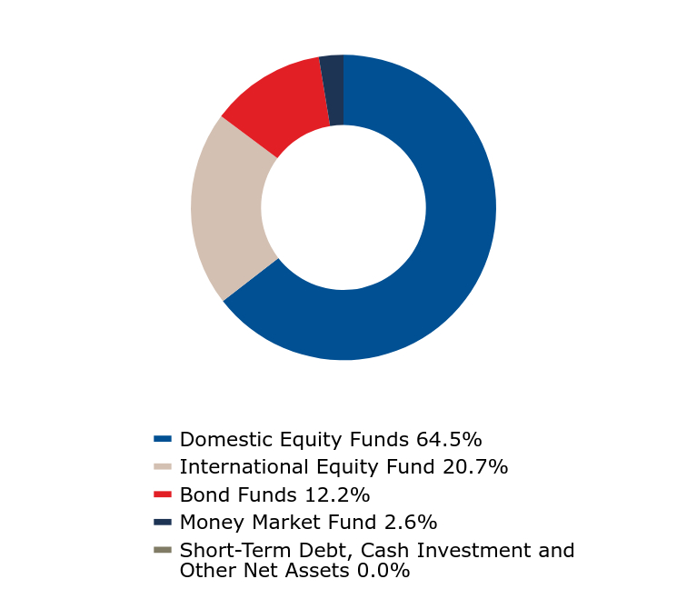 A graphical representation of Investments made.