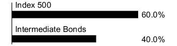 Graphical Representation - Allocation 1 Chart