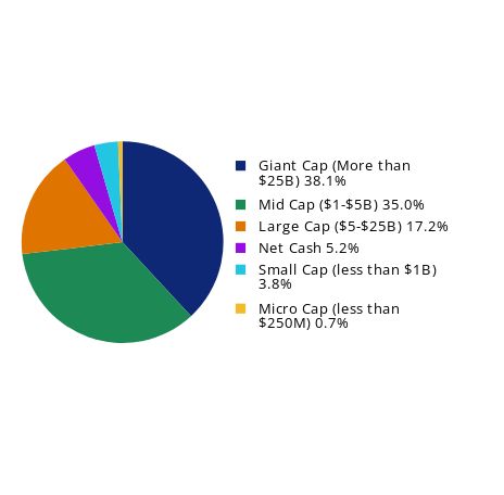 Pie Chart showing Group By Market Capital Weightings