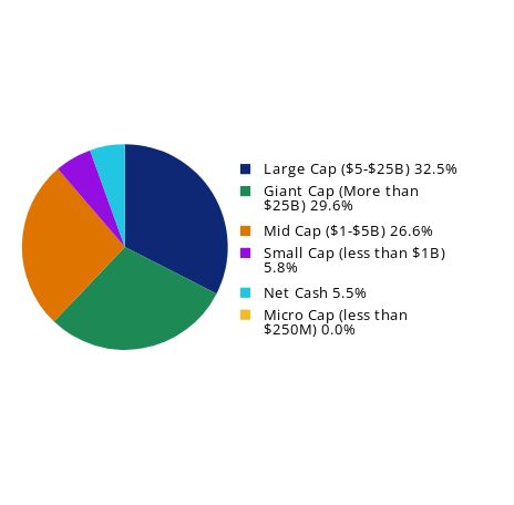 Pie Chart showing Group By Market Capital Weightings