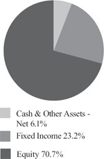 (pie chart)