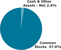 (PIE CHART)