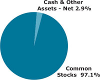 (PIE CHART)