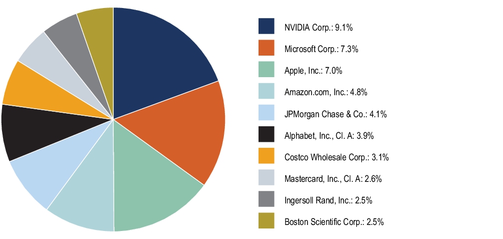 Graphical Representation - Top N Holdings Chart