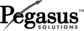 (PEGASUS SOLUTIONS LOGO)