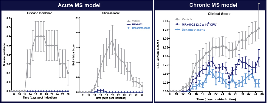 [MISSING IMAGE: tm2036619d3-lc_fig224c.jpg]