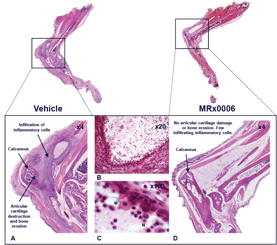 [MISSING IMAGE: tm2036619d3-pht_fig244c.jpg]