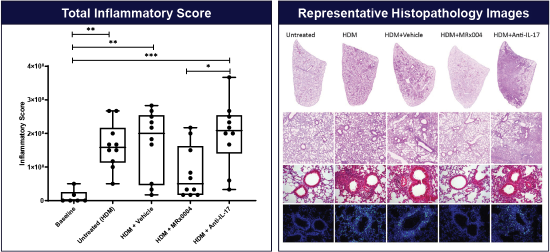 [MISSING IMAGE: tm2036619d3-bc_fig164c.jpg]