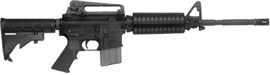 (PICTURE OF LAW ENFORCEMENT CARBINE)