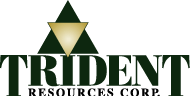 (TRIDENT LOGO)