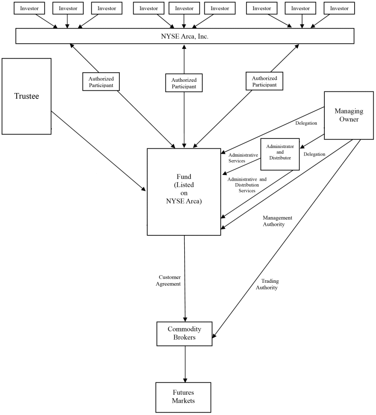 (ORGANIZATION CHART)