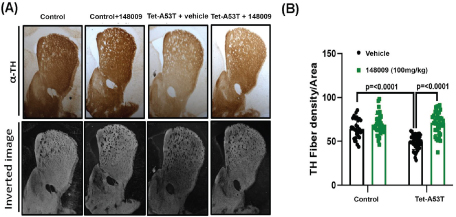 [MISSING IMAGE: tm2024520d1-bc_fiber4clr.jpg]