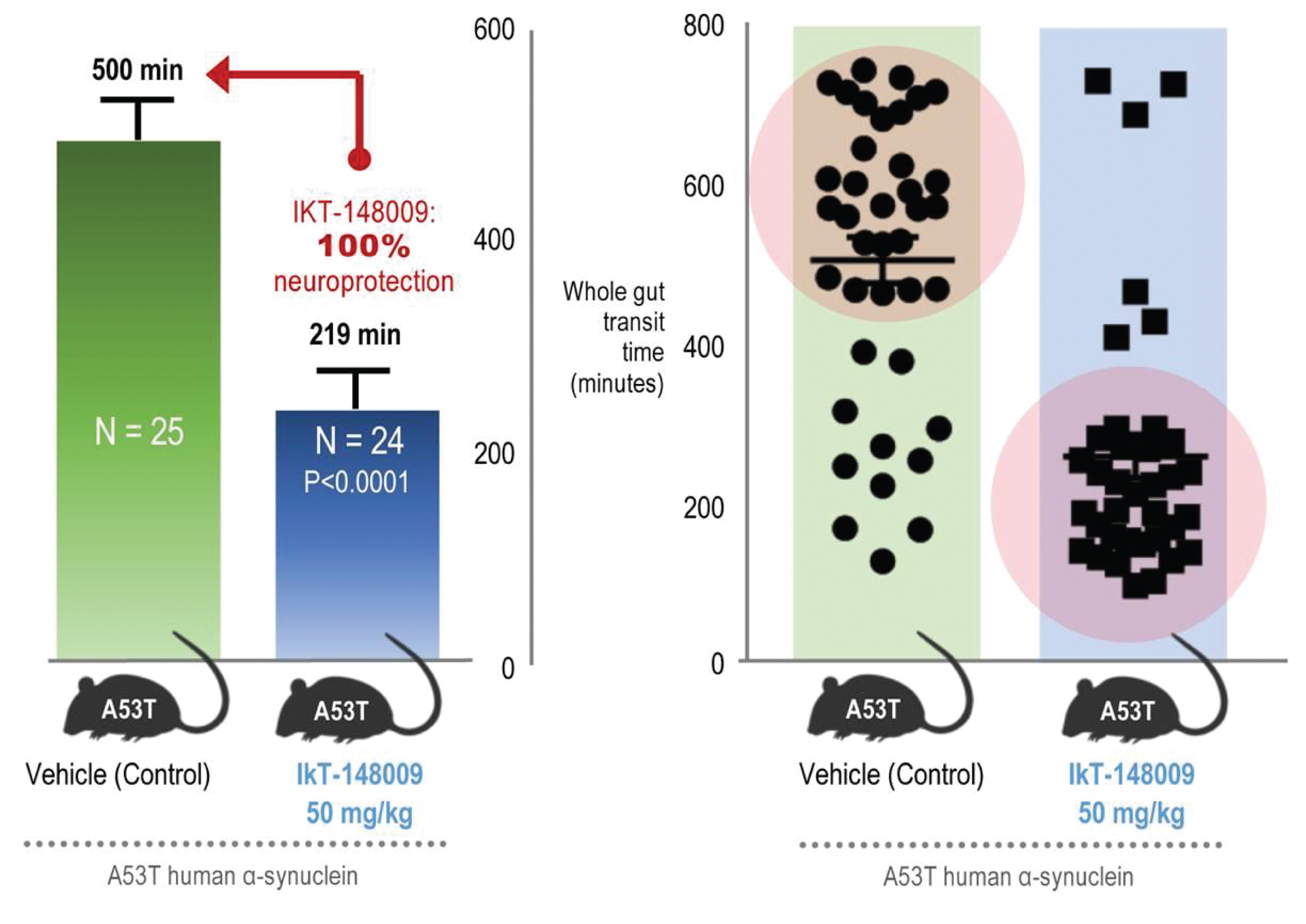 [MISSING IMAGE: tm2024520d1-bc_gut4clr.jpg]