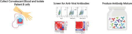 [MISSING IMAGE: tm2025599d1-ph_donors4clr.jpg]