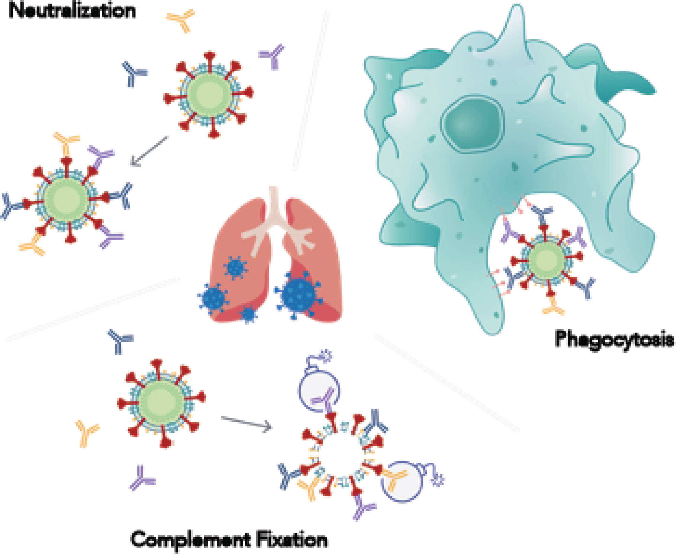 [MISSING IMAGE: tm2025599d1-ph_viral4clr.jpg]