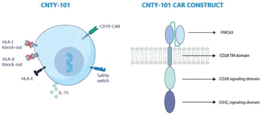 [MISSING IMAGE: tm218551d3-ph_carconst4clr.jpg]