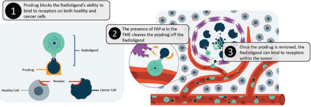 [MISSING IMAGE: tm2123357d1-org_drug4clr.jpg]