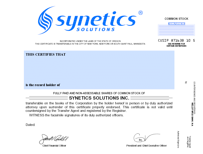 (SYNETICS SOLUTIONS)