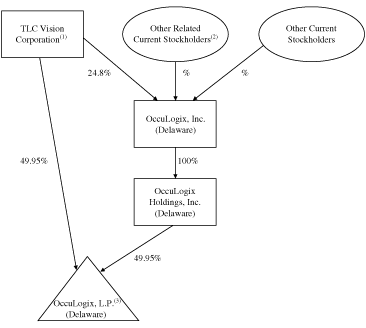 Corporate Structure Chart