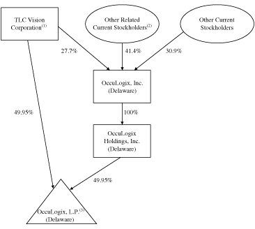 (CORPORATE STRUCTURE CHART)