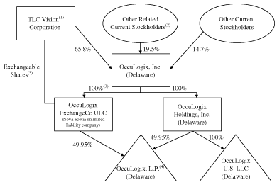 (CORPORATE STRUCTURE CHART)