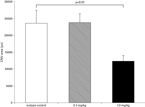 Bar Graph