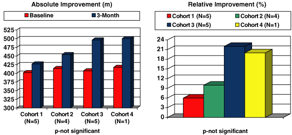 (BAR GRAPH)