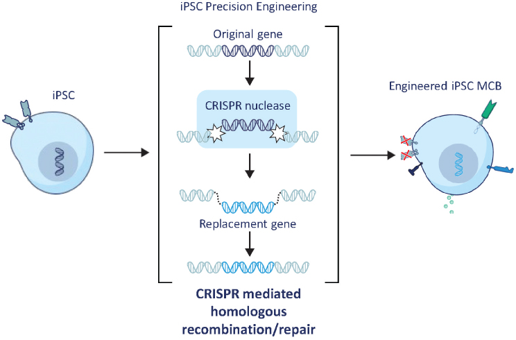 [MISSING IMAGE: tm218551d3-ph_crispr4c.jpg]