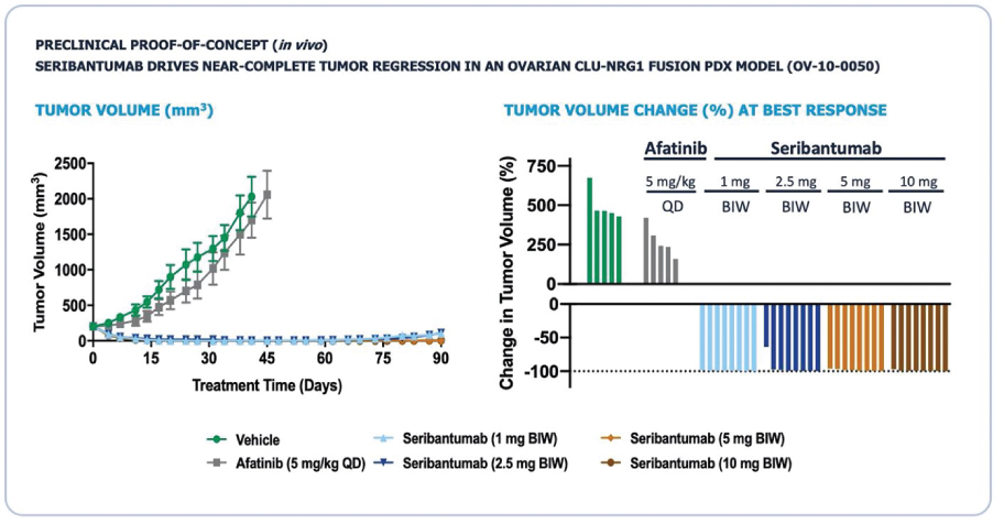 [MISSING IMAGE: tm2111147d1-bc_tumor4clr.jpg]