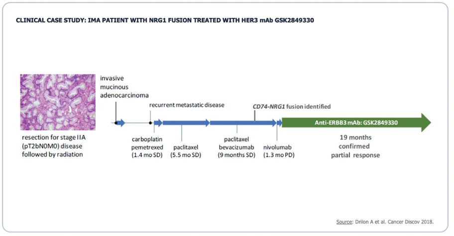 [MISSING IMAGE: tm2111147d1-fc_treatedclr.jpg]