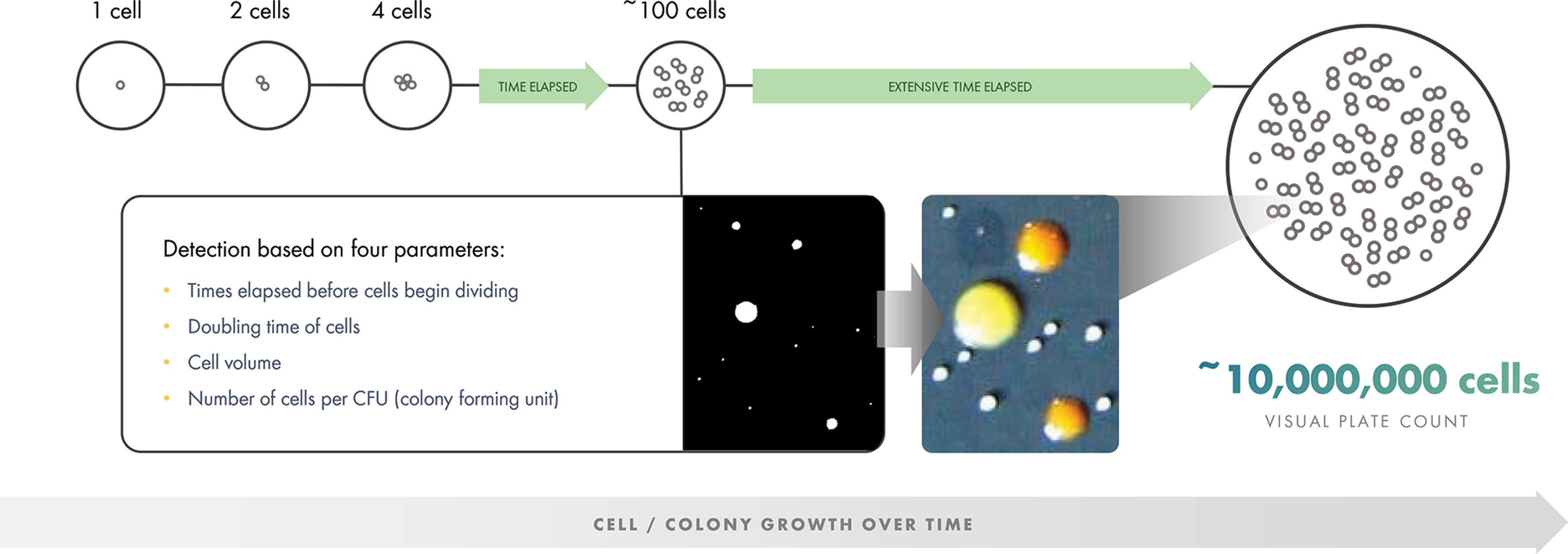 [MISSING IMAGE: tm219739d5-ph_analysis4clr.jpg]