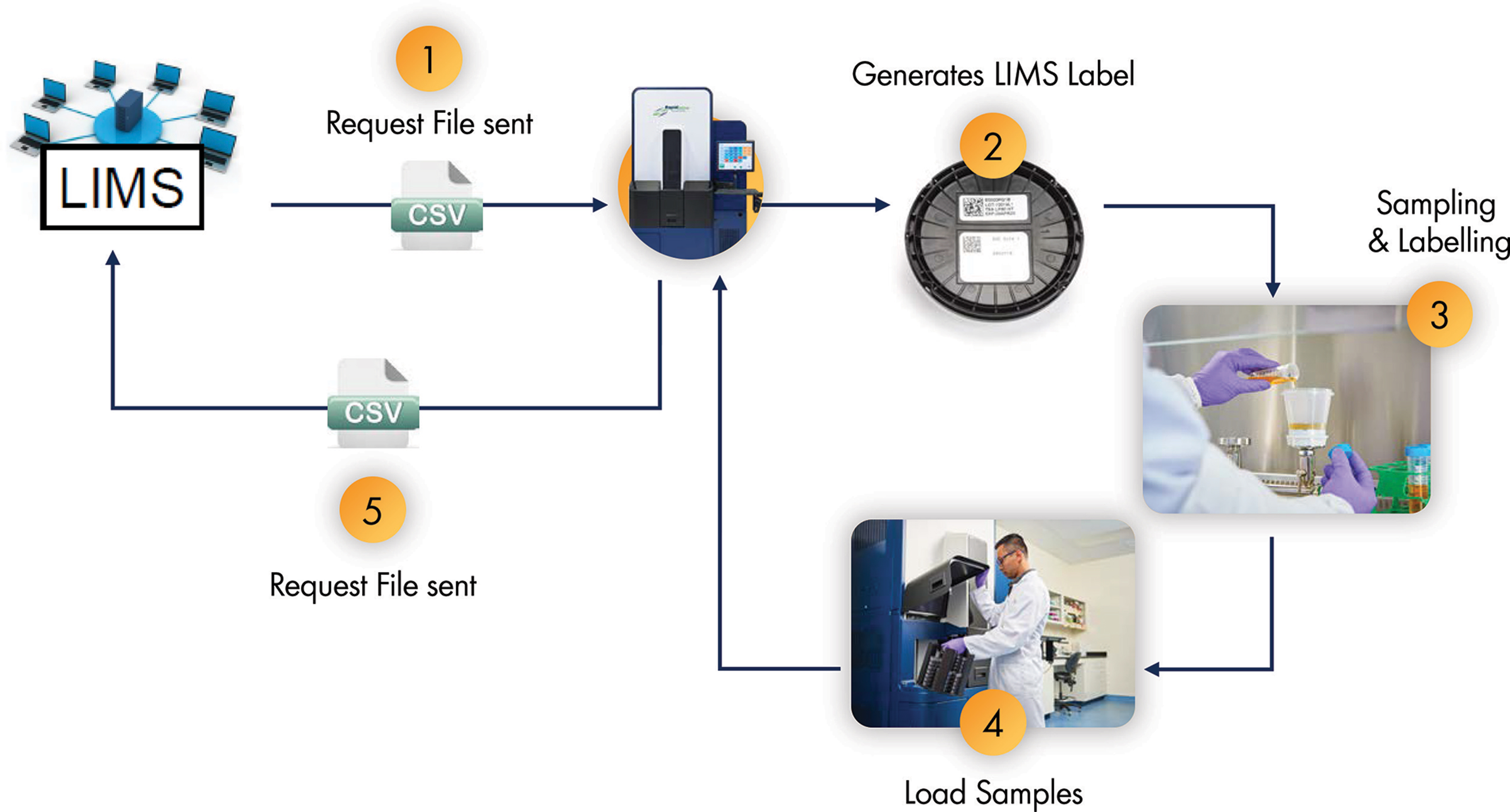 [MISSING IMAGE: tm219739d5-ph_lims4clr.jpg]