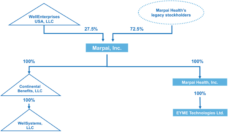 [MISSING IMAGE: tm215661d7-fc_marpai4c.jpg]