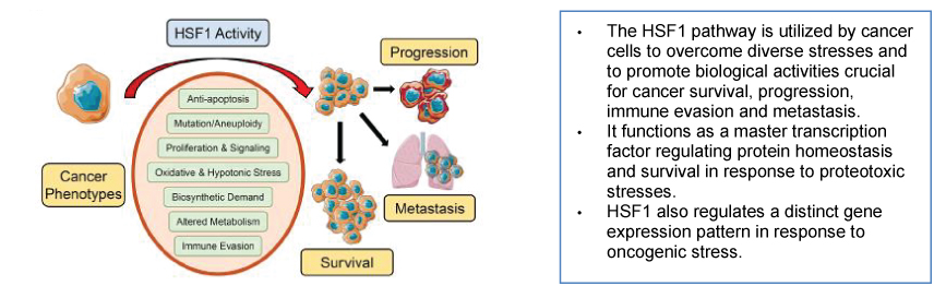 [MISSING IMAGE: tm2123577d1-fc_1fig4clr.jpg]